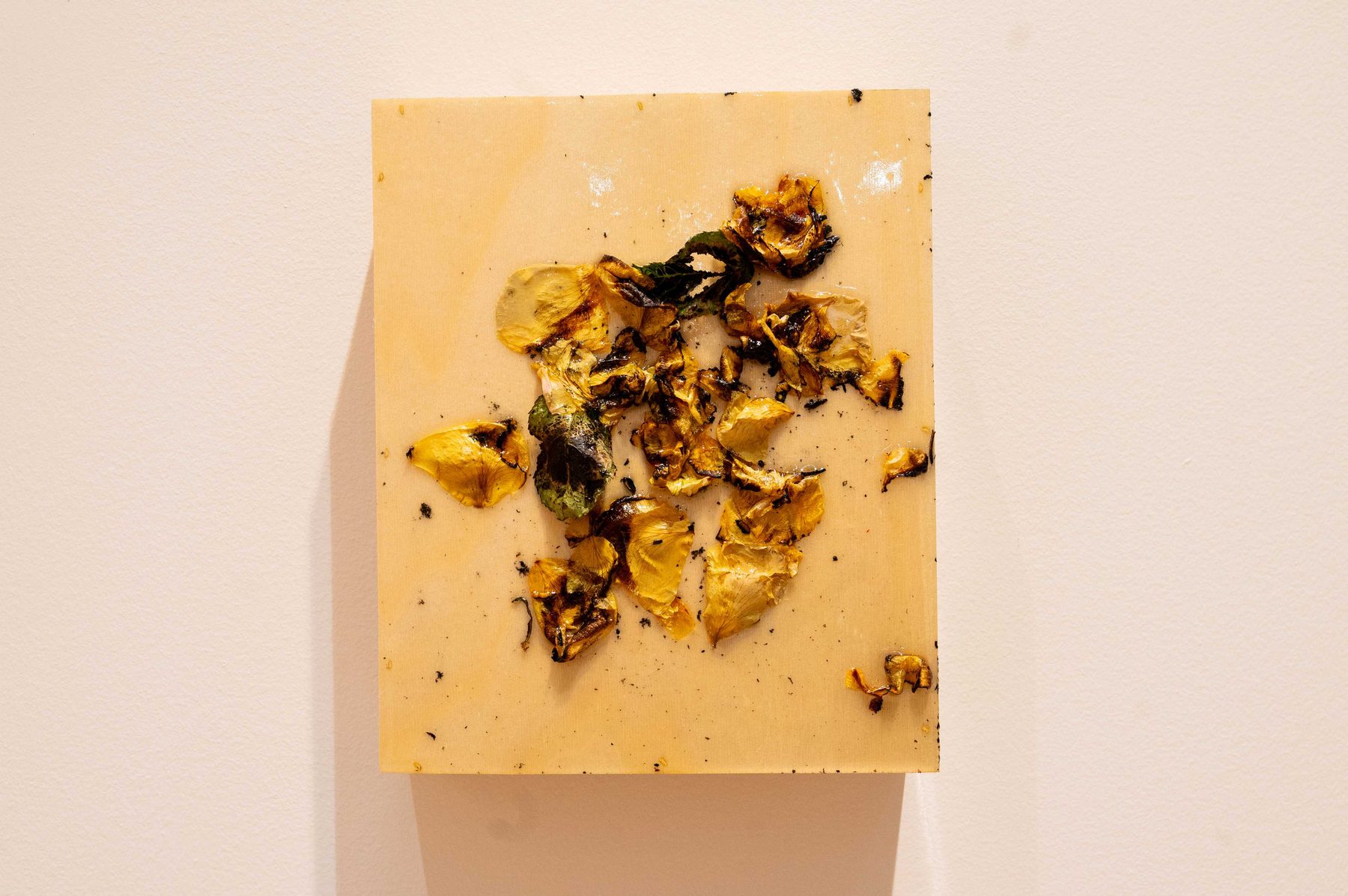Transition — Memory of Loss and Desire to Forget